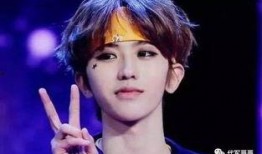 央视爆料蔡徐坤视频合集,揭秘偶像背后的故事